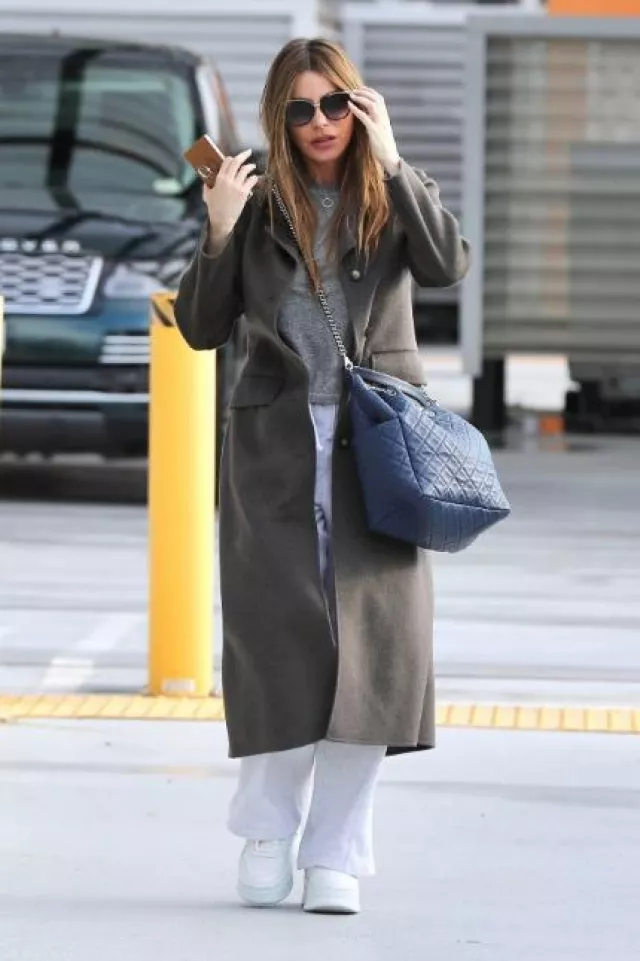 Flaunt Nude Caramel Phone Ring Worn By Sof A Vergara In Los Angeles On December Spotern