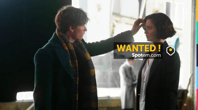 Le Manteau De Porpentina Tina Katherine Waterson Dans Les Animaux