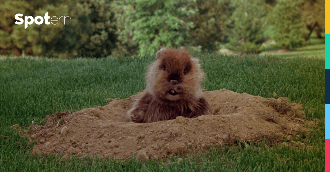 Caddyshack Clothes, Outfits, Brands, Style and Looks Spotern