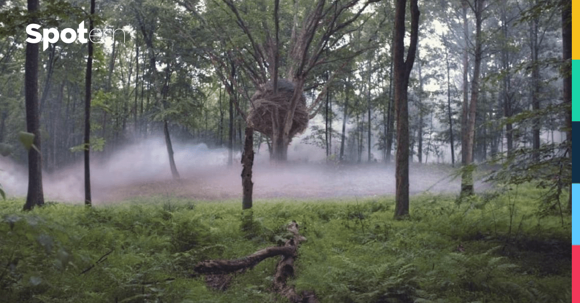 Love Is Blind Clothes, Outfits, Brands, Style and Looks Spotern