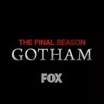 gothamonfox