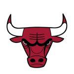chicagobulls