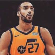 rudygobert27