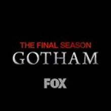 gothamonfox