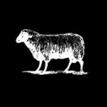 blacksheepskateshop