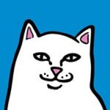 ripndip
