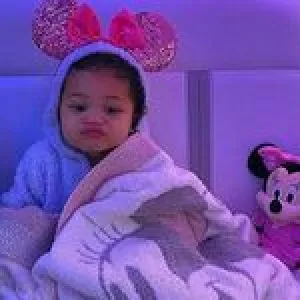 stormi_wbs