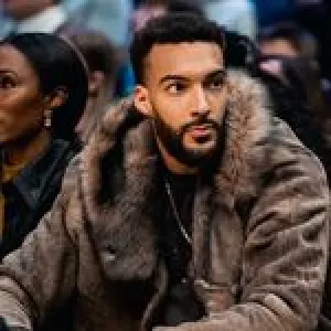 rudygobert27