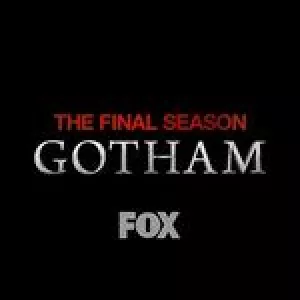 gothamonfox