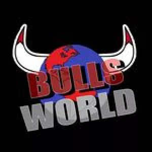 thebulls_world