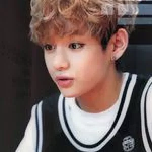 vante.v.bts