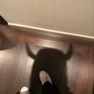 sindavis_bfg