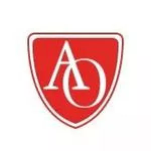 aoeyewearfrance