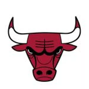 chicagobulls
