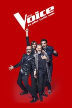 The Voice : La Plus Belle Voix