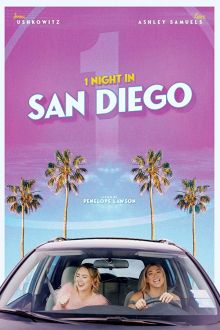 1 Night in San Diego