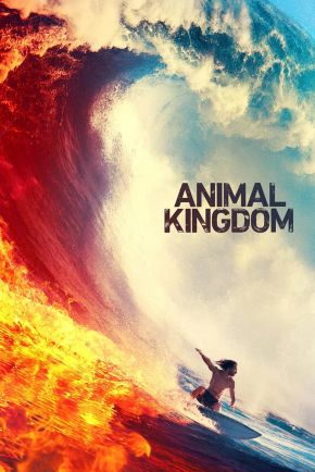 Where to watch or download Animal Kingdom TV series (2016)
