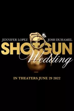 Watch Shotgun Wedding