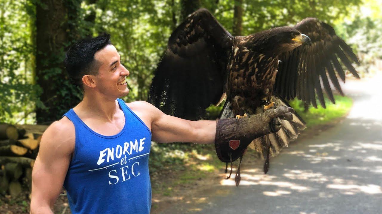 LA MEILLEURE EXPÉRIENCE À VIVRE (je dresse un aigle)