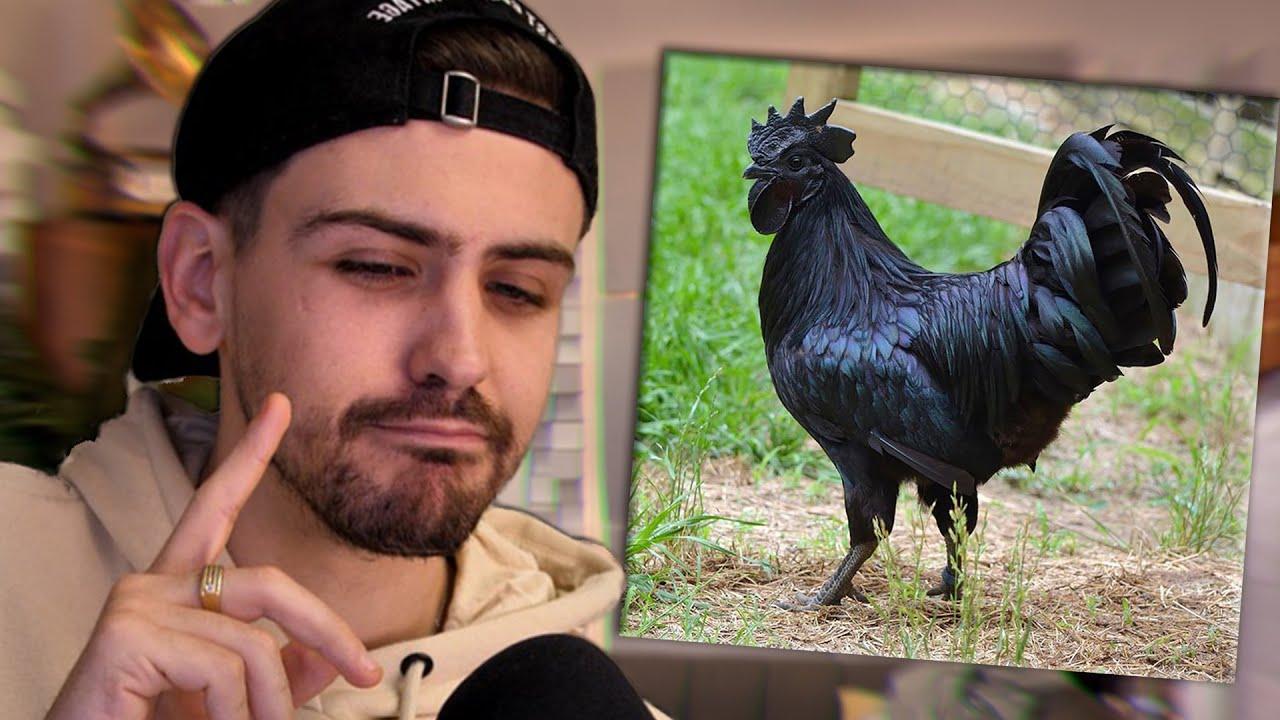 VOUS NE SAVIEZ PAS TOUT ÇA !? (moi non plus)