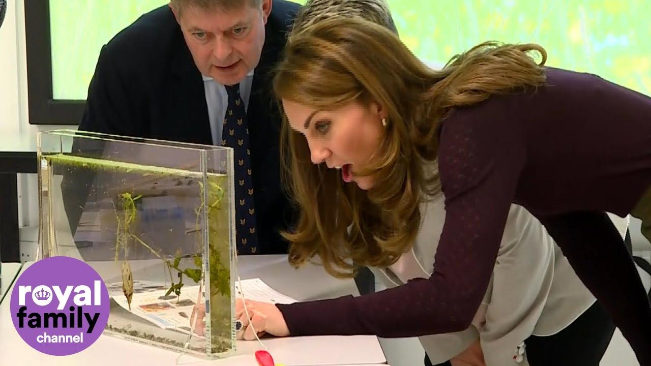 The Duchess of Cambridge Meets Creepy Crawlies at the Natural History Museum