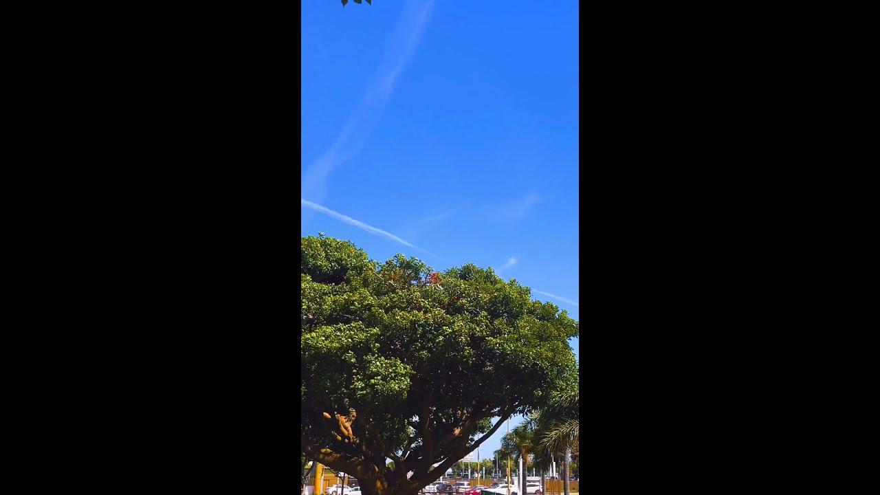 Golden state with American Airlines ☀️