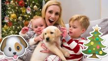 NEW PUPPY HOLIDAY SURPRISE! 🐶