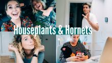 HOUSEPLANTS AND HORNETS | WEEKLY VLOG