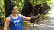 LA MEILLEURE EXPÉRIENCE À VIVRE (je dresse un aigle)