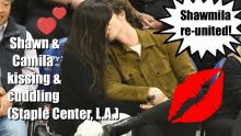 Shawn Mendes & Camila Cabello kissing & cuddling at the Staple Center (L.A.)