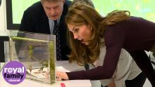 The Duchess of Cambridge Meets Creepy Crawlies at the Natural History Museum
