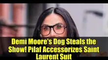 Demi Moore's Dog Steals the Show! Pilaf Accessorizes Saint Laurent Suit