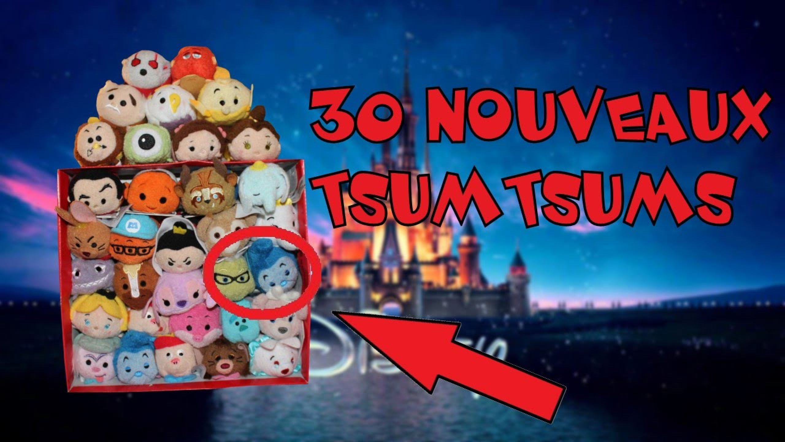30 NOUVEAUX TSUMTSUMS !!