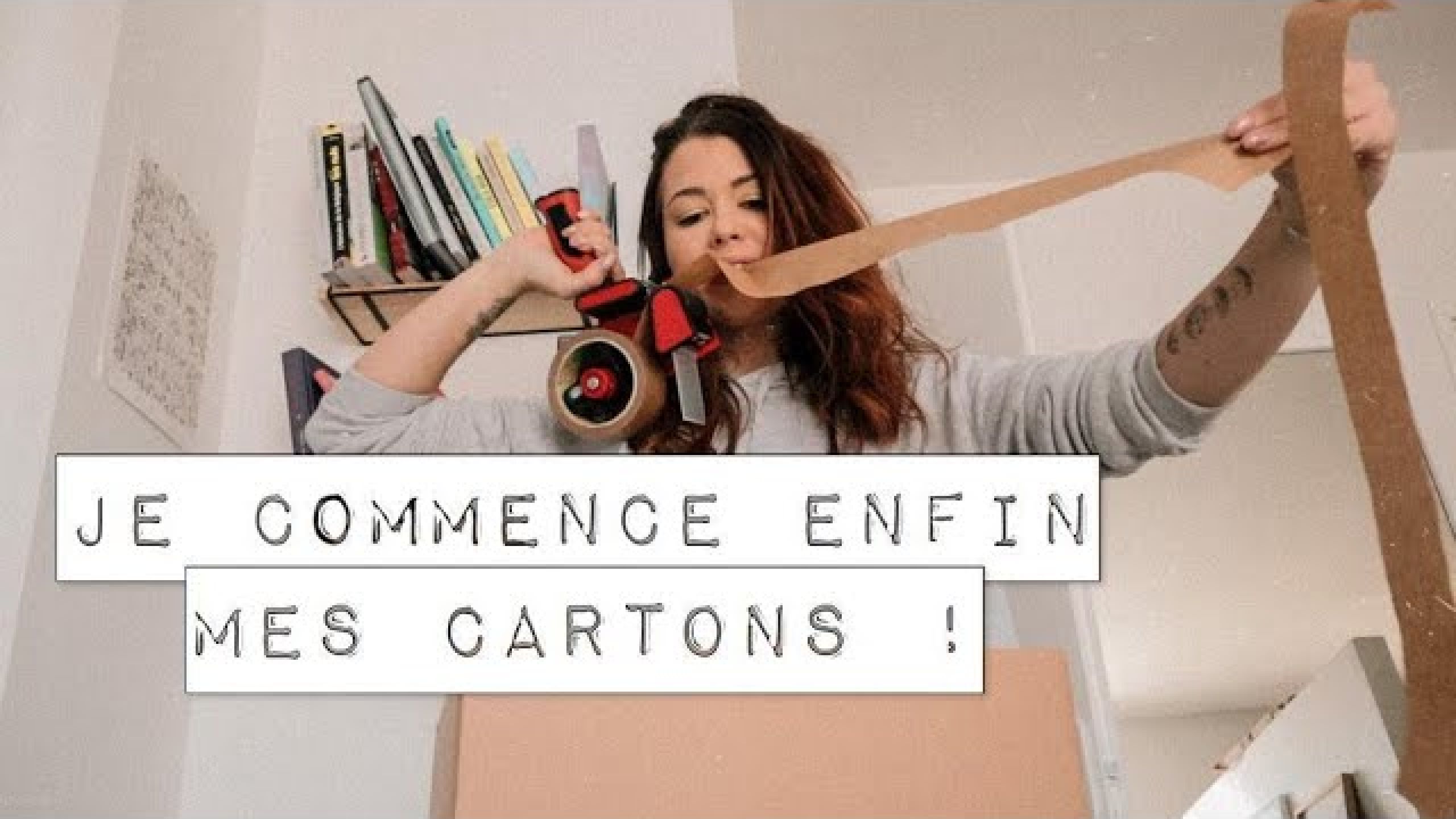 je commence enfin mes cartons !