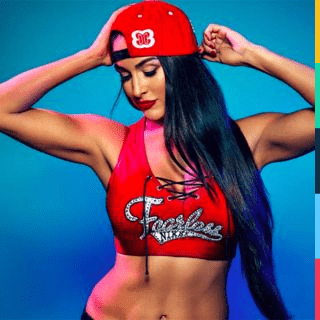 Nikki Bella: Clothes, Outfits, Brands, Style and Looks