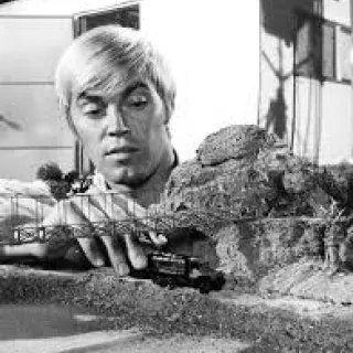 Dennis Cole Clothes Outfits Brands Style And Looks Spotern