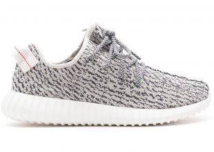 Adidas Yeezy Boost 350 Turtledove