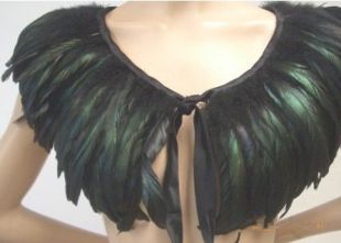 Cape plume de coq