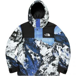 Supreme The North Face Mountain Parka Blue/White