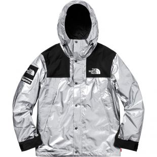 Supreme The North Face Metallic Mountain Parka Silver