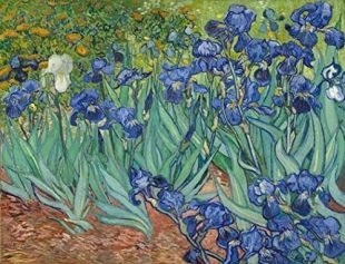 Wieco Art Irises Modern Stretched and Framed Floral Giclee Canvas Print by Van Gogh Famous Flowers Oil Paintings Reproduction Artwork Pictures on Canvas Wall Art for Bedroom Home Decorations