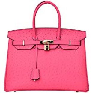 Pink Birkin bag that Logan gifted to Rory Gilmore (Alexis Bledel