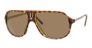 New Safaris Aviator Sunglasses