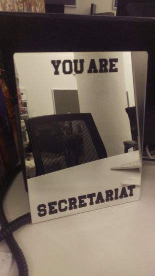 Le miroir « Vous êtes Secrétariat » de BoJack Horseman