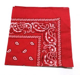 ComboCube 12 Pack(one dozen) Multi-Purpose novelty Red Cotton Paisley Cowboy Bandanas Headband for Men,Women and kids