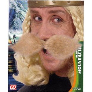 Moustaches gaulois Astérix blond