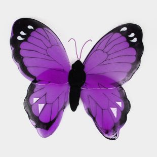 1 paire d'ailes   Papillon