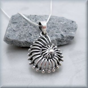 Collier de coquillages Nautilus, océan collier, bijoux de plage, pendentif coquillage, argent Sterling, l’été, pendentif en coquillage, spirale collier SN692