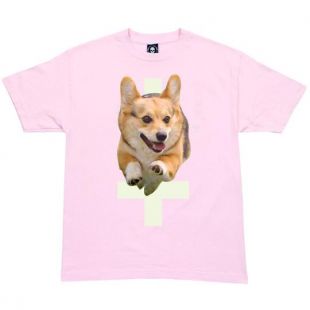 hell hound pink - Flying Coffin