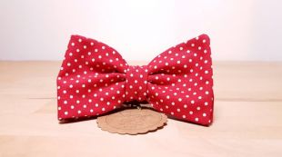 Noeud Papillon rouge à pois blancs